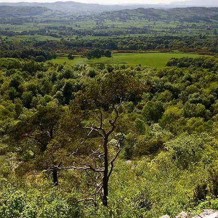 Tipsy Gin